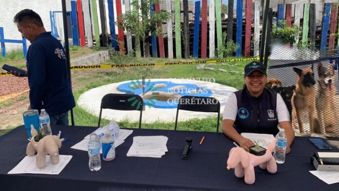 Cuidado Animal realizará Adopta Fest 2026 en SJR