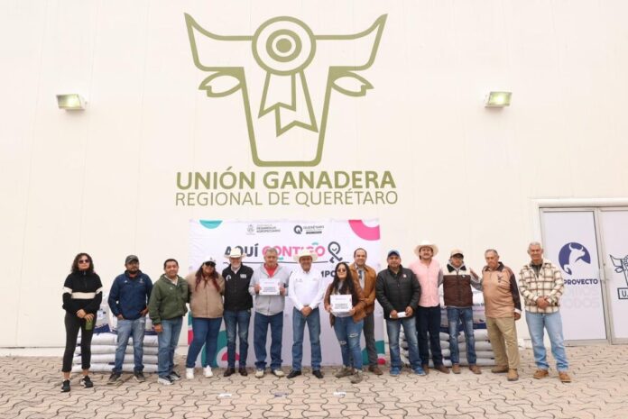 Entrega SEDEA tres toneladas de alimento a cunicultores de Querétaro