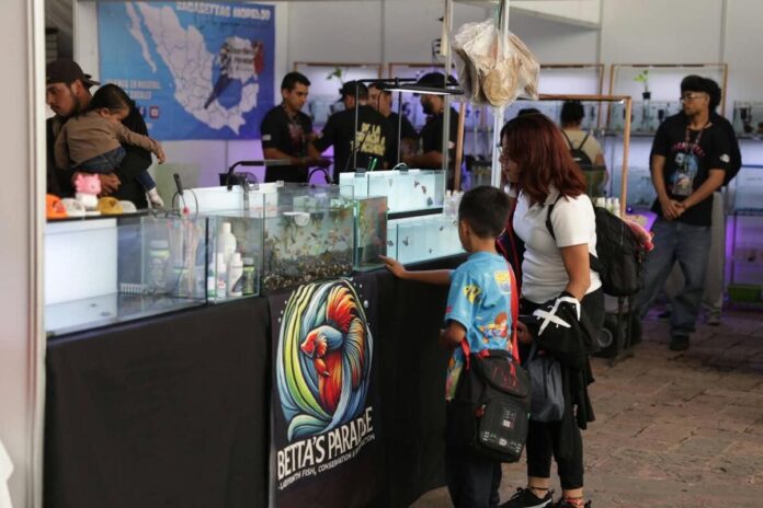 Expo Acuario reunió a más de 25 mil personas en San Juan del Río