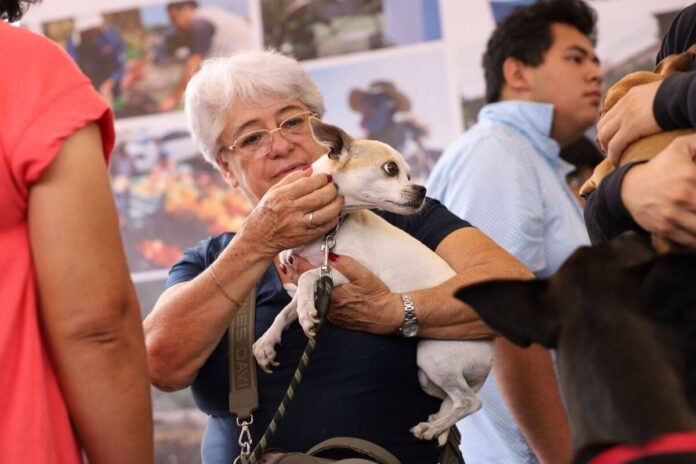 Suman 3 mil 200 esterilizaciones y 172 adopciones en San Juan del Río